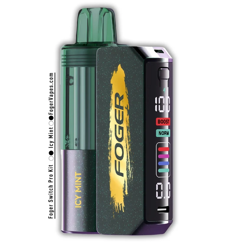 Icy Mint Foger Switch Pro Kit 30K Puffs - Image 2